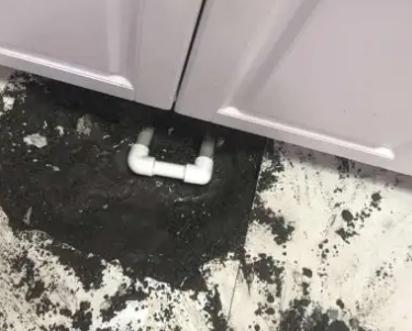 扎囊查漏水哪家好